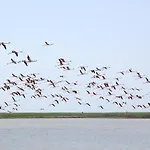 Locazione In Pittinuri סנטה קתרינה